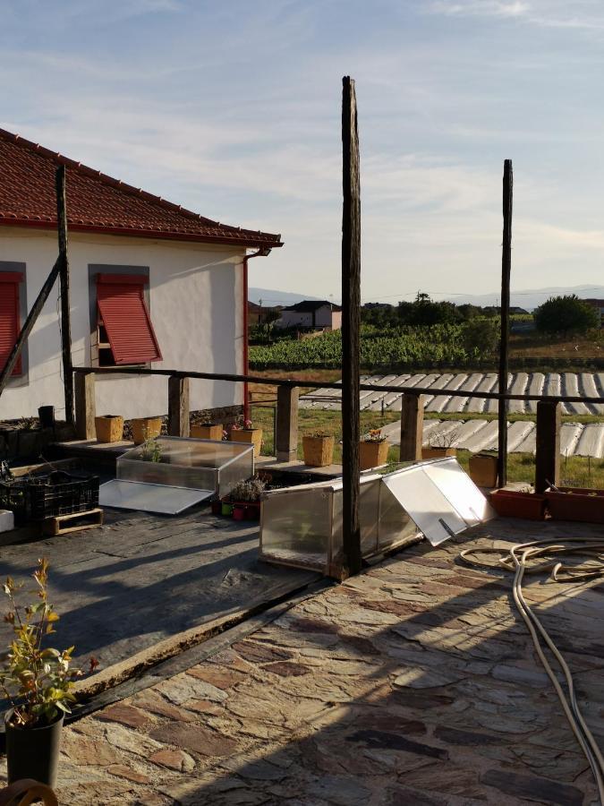 Casa Da Vinha Grande Hotel Poiares Ngoại thất bức ảnh