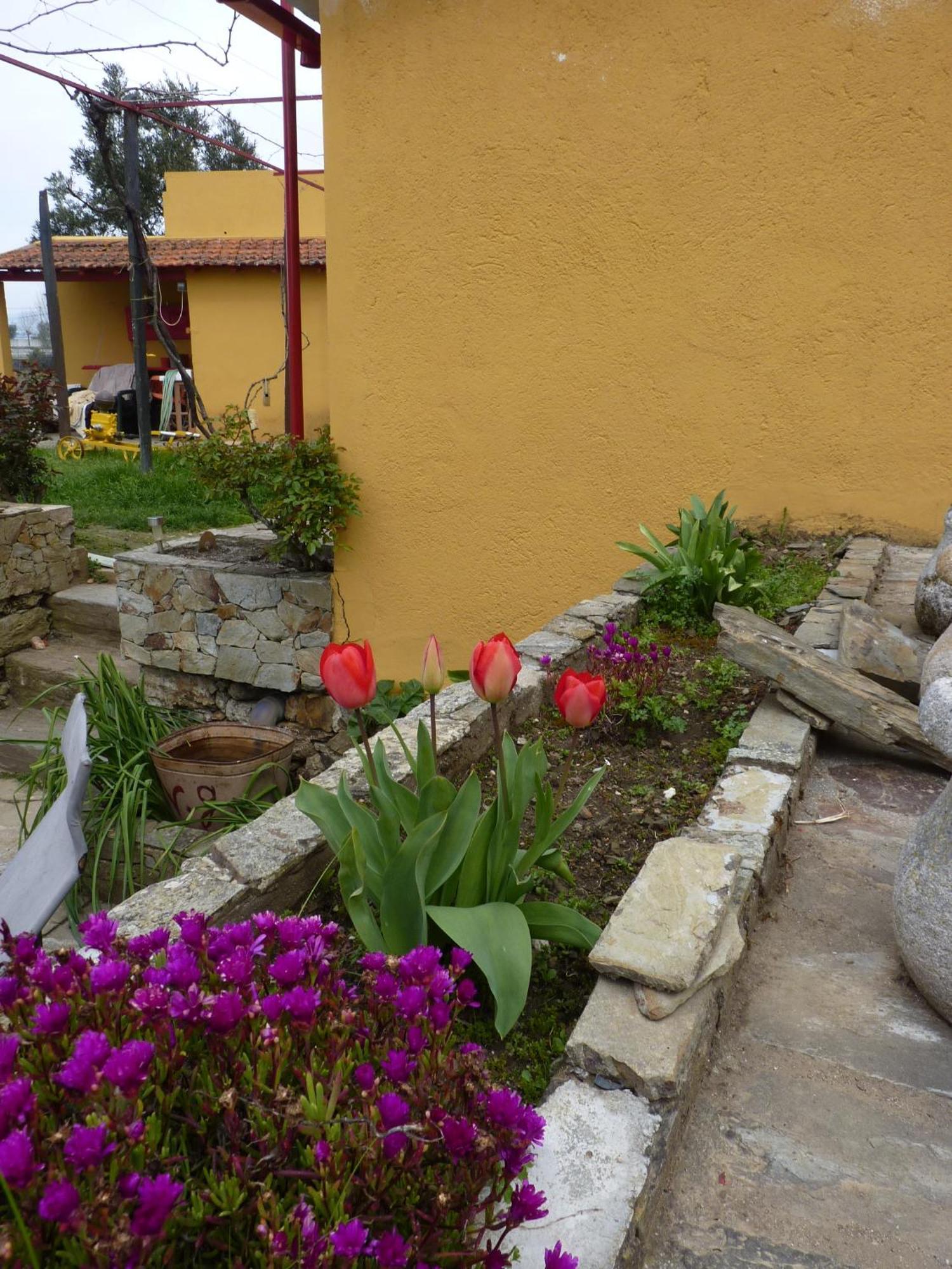 Casa Da Vinha Grande Hotel Poiares Ngoại thất bức ảnh